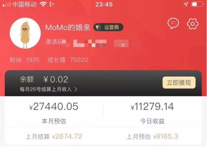 双12花生日记运营商收益