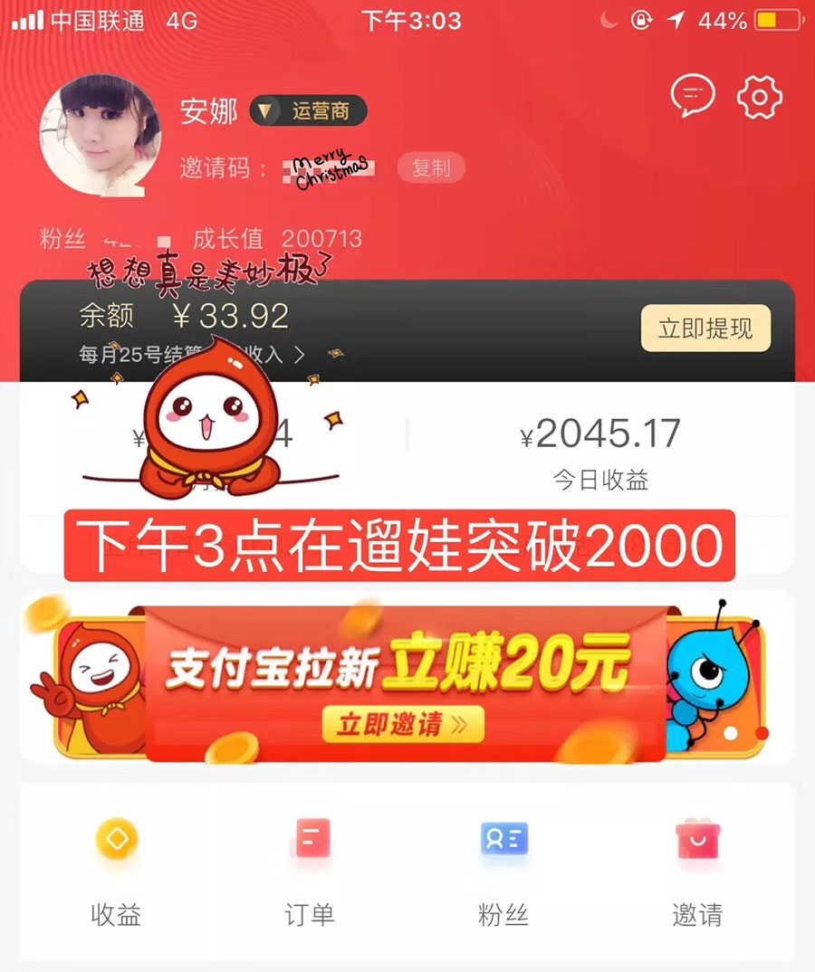 花生日记收益