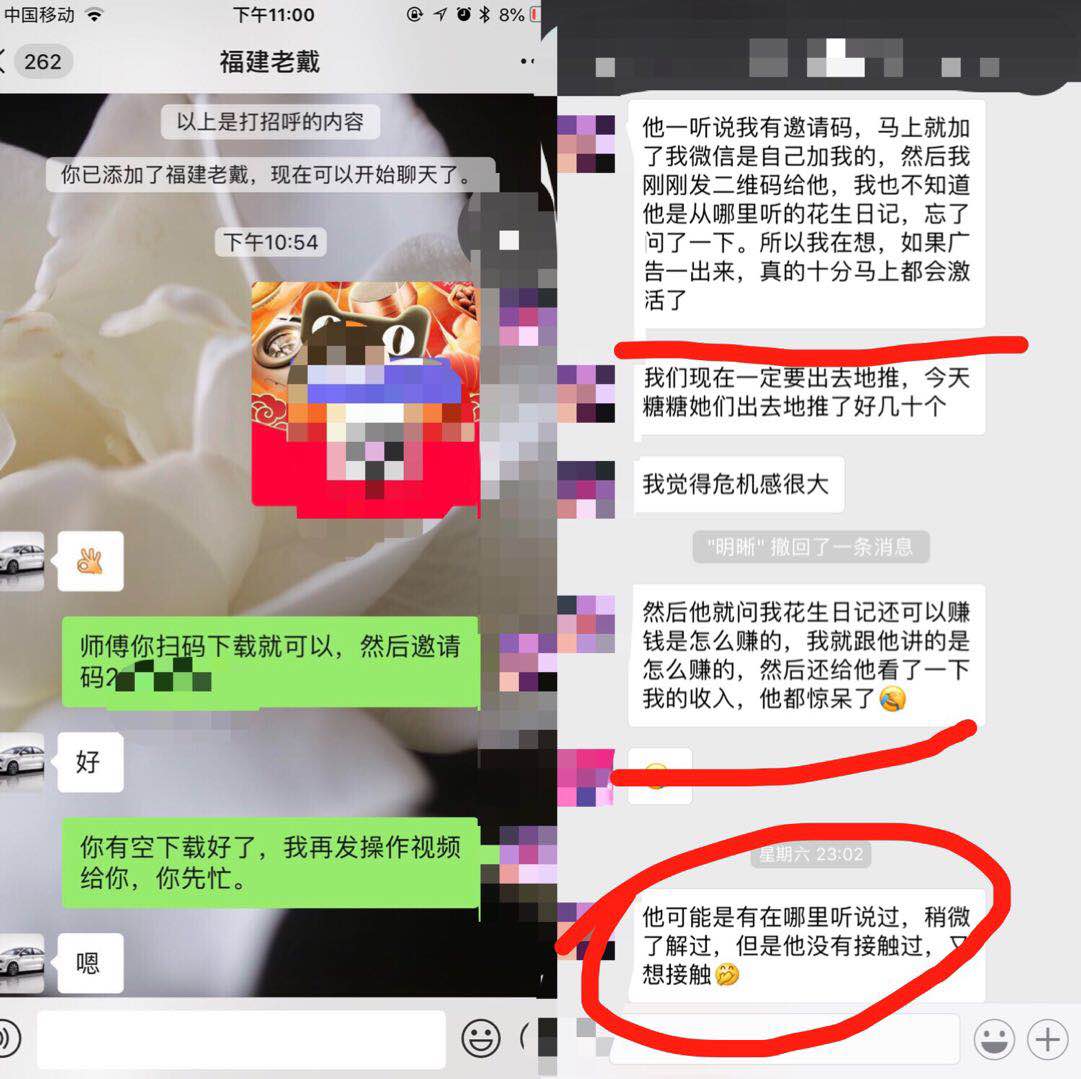花生粉丝聊天